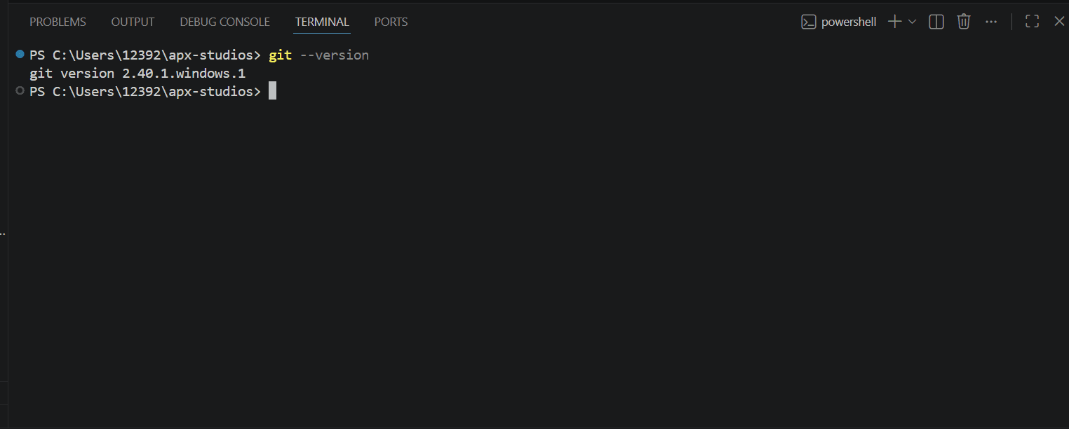 Visual Studio Code terminal displaying a successful Git version result.