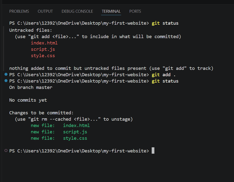 Terminal showing the website files staged and ready to commit.